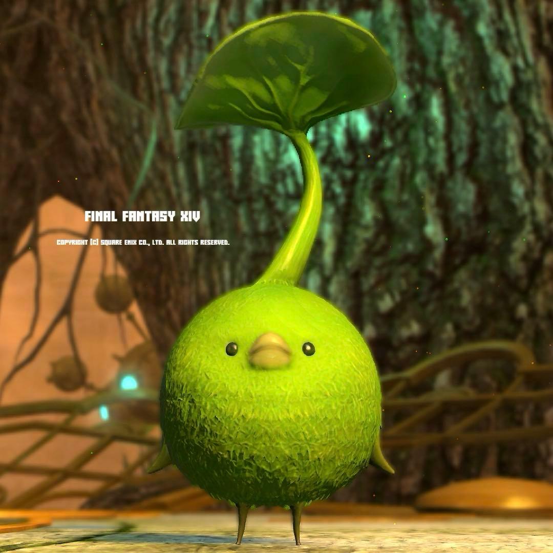 ファイナルファンタジーXIV コロポックルぬいぐるみ ユキンコぬいぐるみ