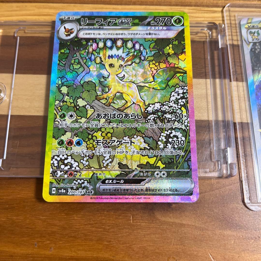 リーフィアセット