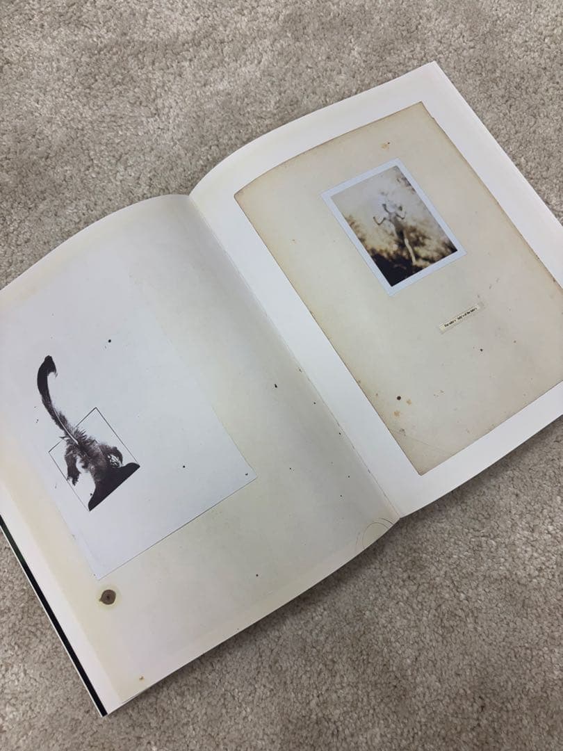 “not in fashion” / Mark Borthwick