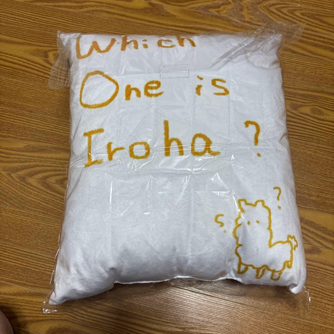 乃木坂46 直筆サイン入りメンバーデザイン個別クッション 奥田いろは