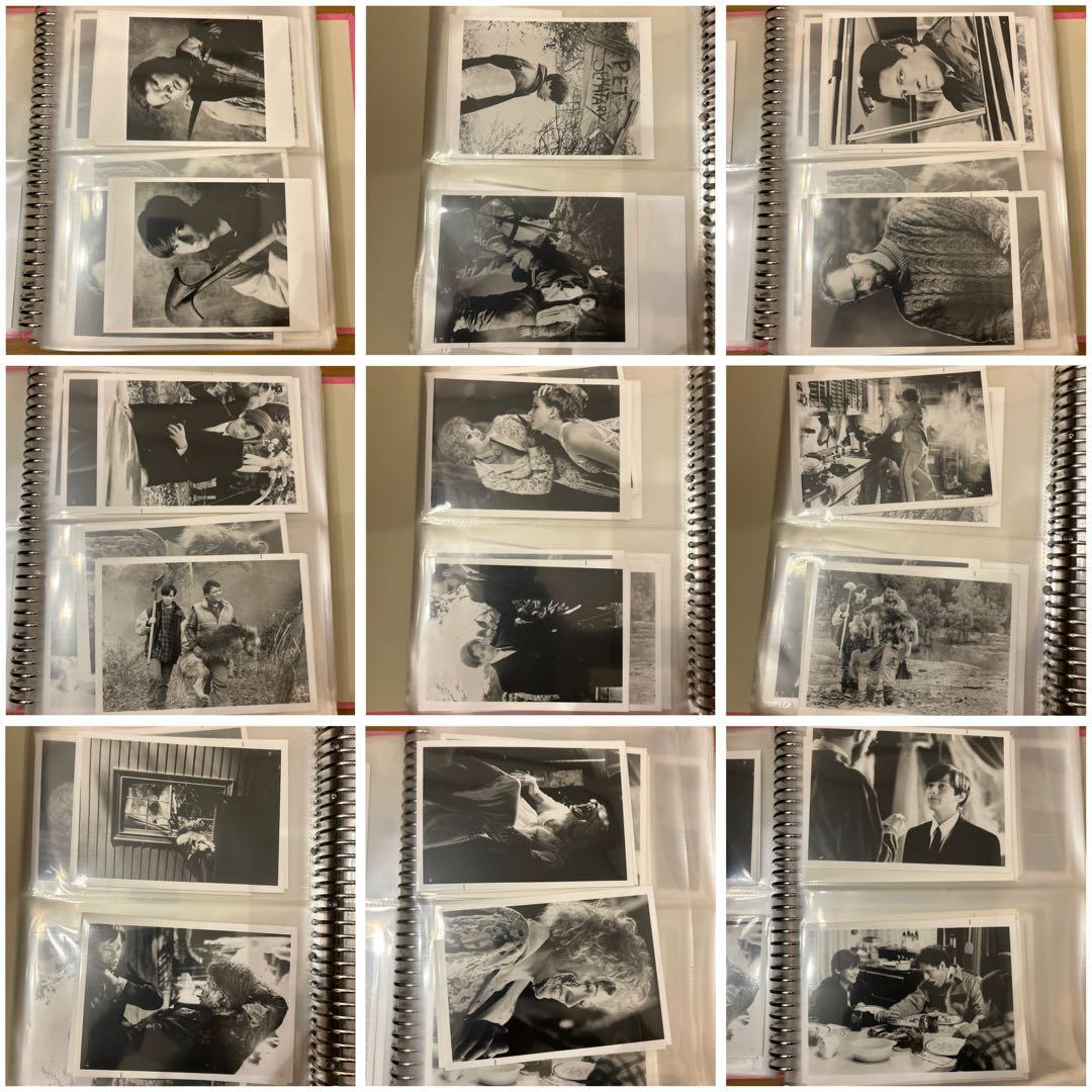 ペットセメタリー2 スチール写真