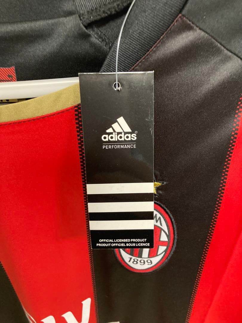 10-11 セリエA ACミラン イブラヒモビッチ （H）