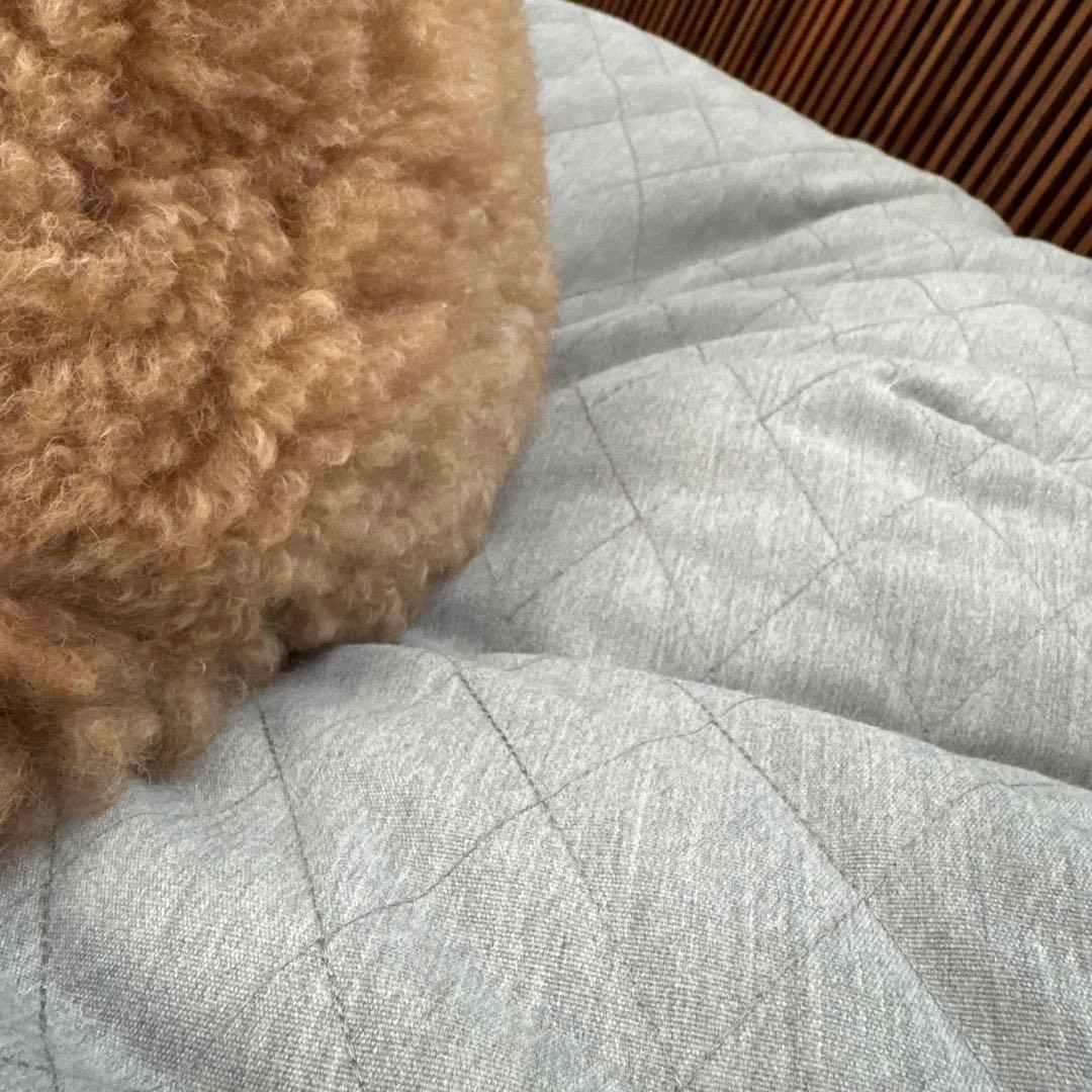 アンビエントラウンジ ペットラウンジカバー　L(バンビグレー)