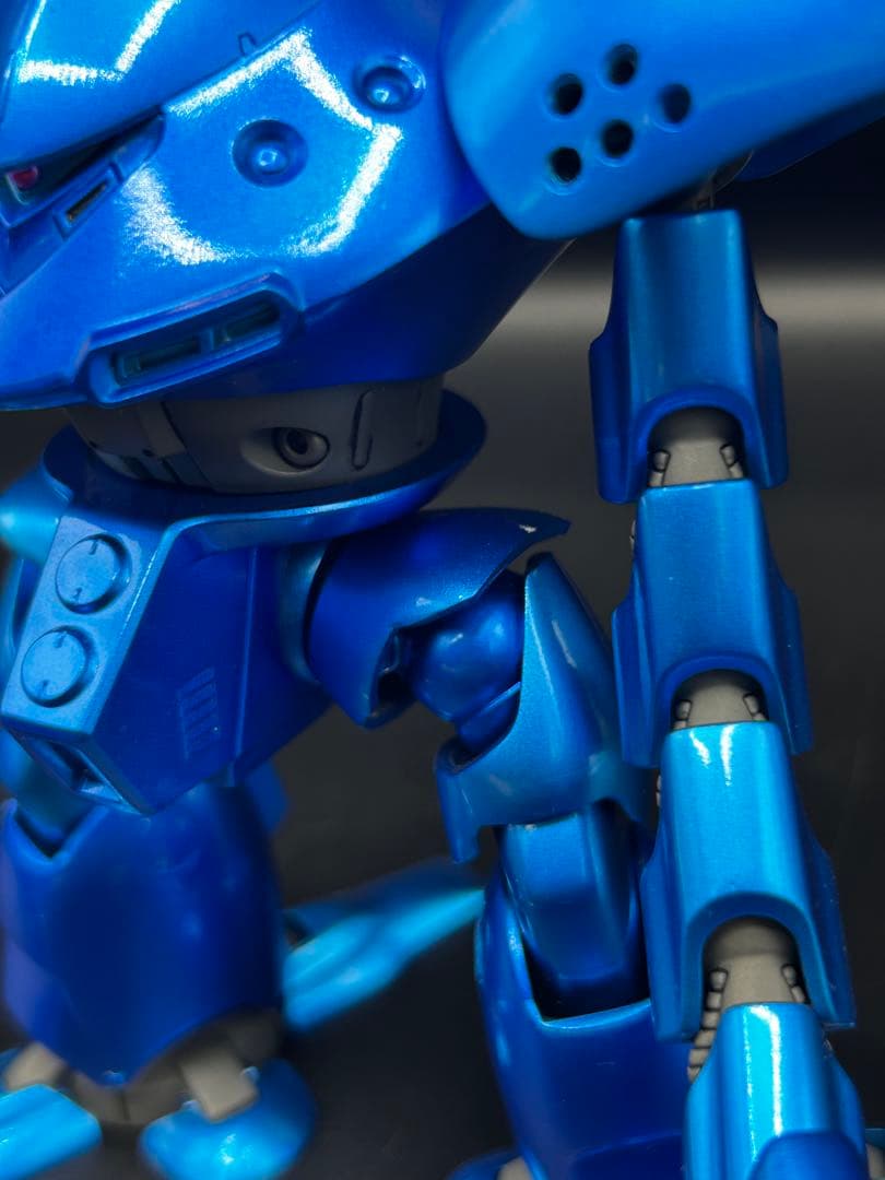 【1点限定】HG ハイゴッグ 全塗装完成品