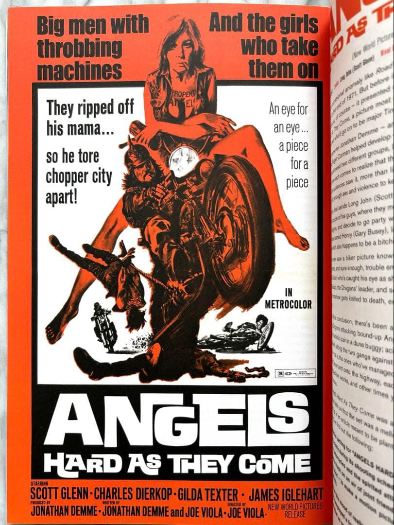 洋書 The Big Book of Biker Flicks