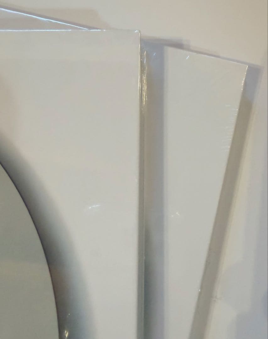 未使用品　ザ・ルースターズ「VIRUS SECURITY」CDボックスセット