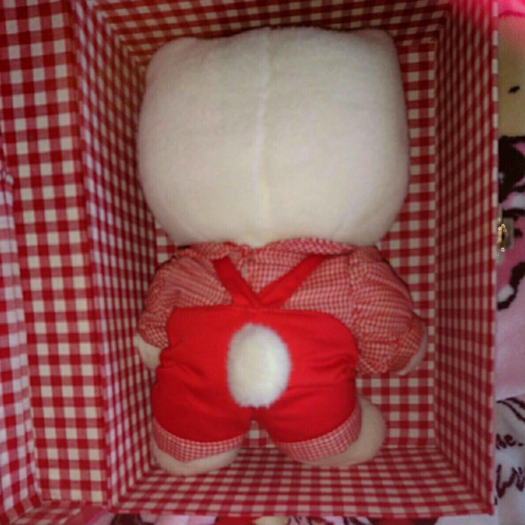 希少☆アンティークハローキティシリアルナンバー入りぬいぐるみ※専用Box付