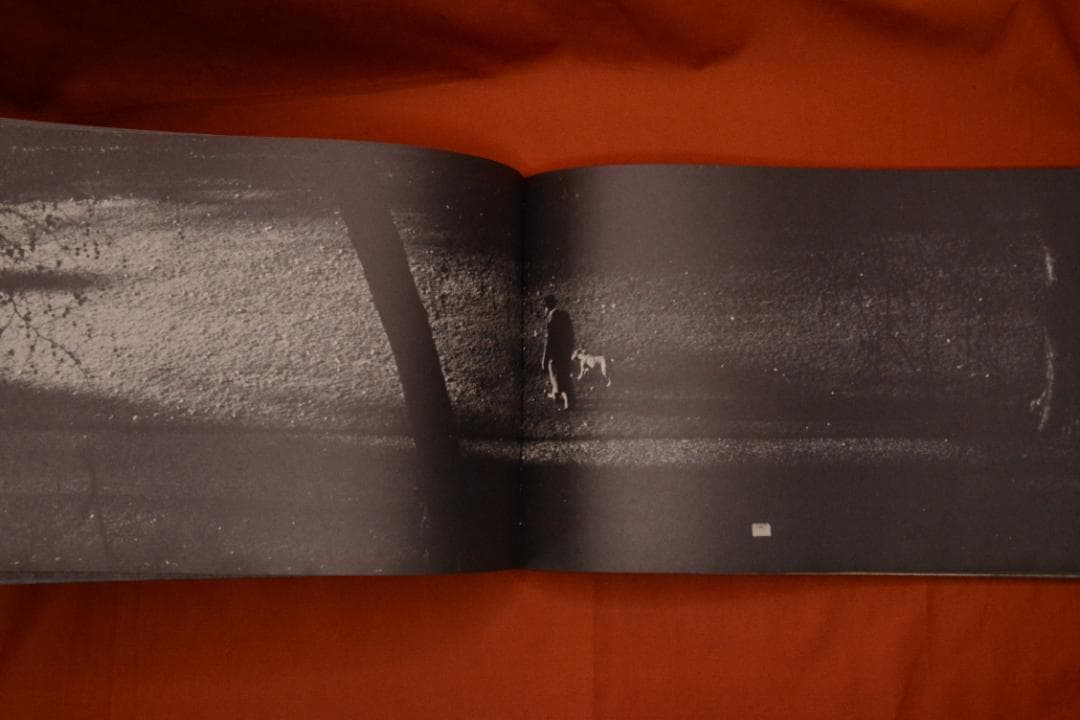 【Reperages】Alain Resnais：アラン・ルネ　1974年初版