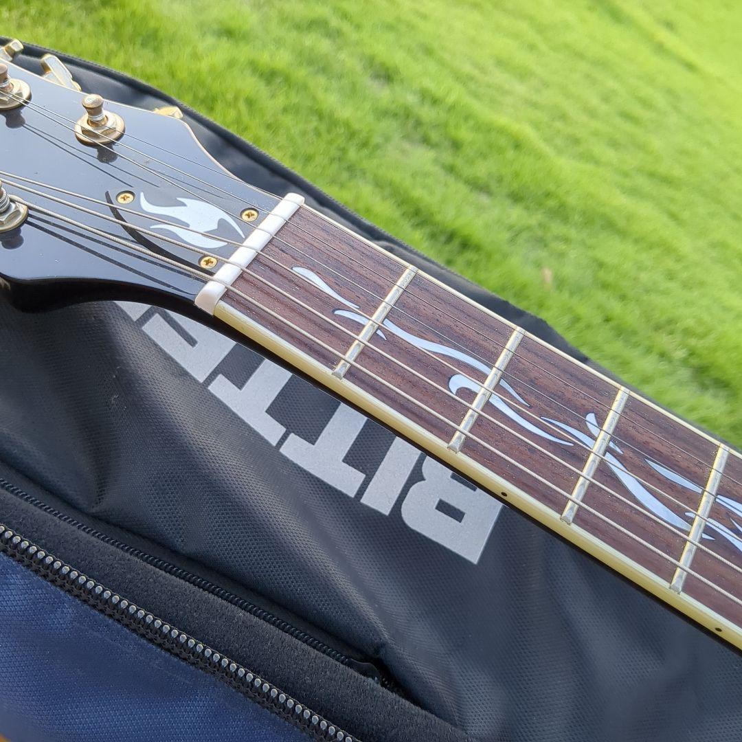 Michael Kelly セミアコギター スペシャル ギグバッグ ストラップ付