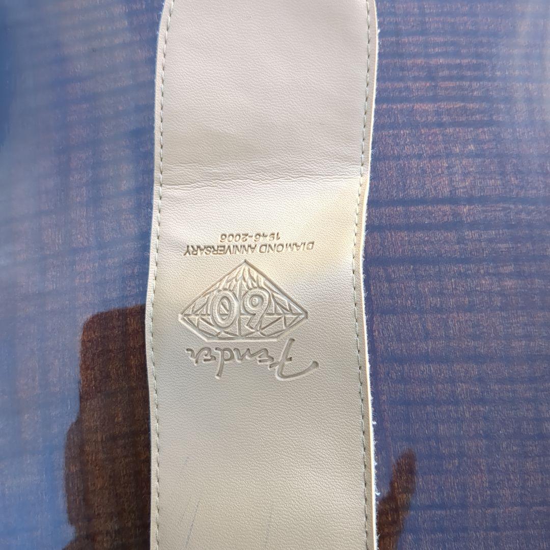 Michael Kelly セミアコギター スペシャル ギグバッグ ストラップ付