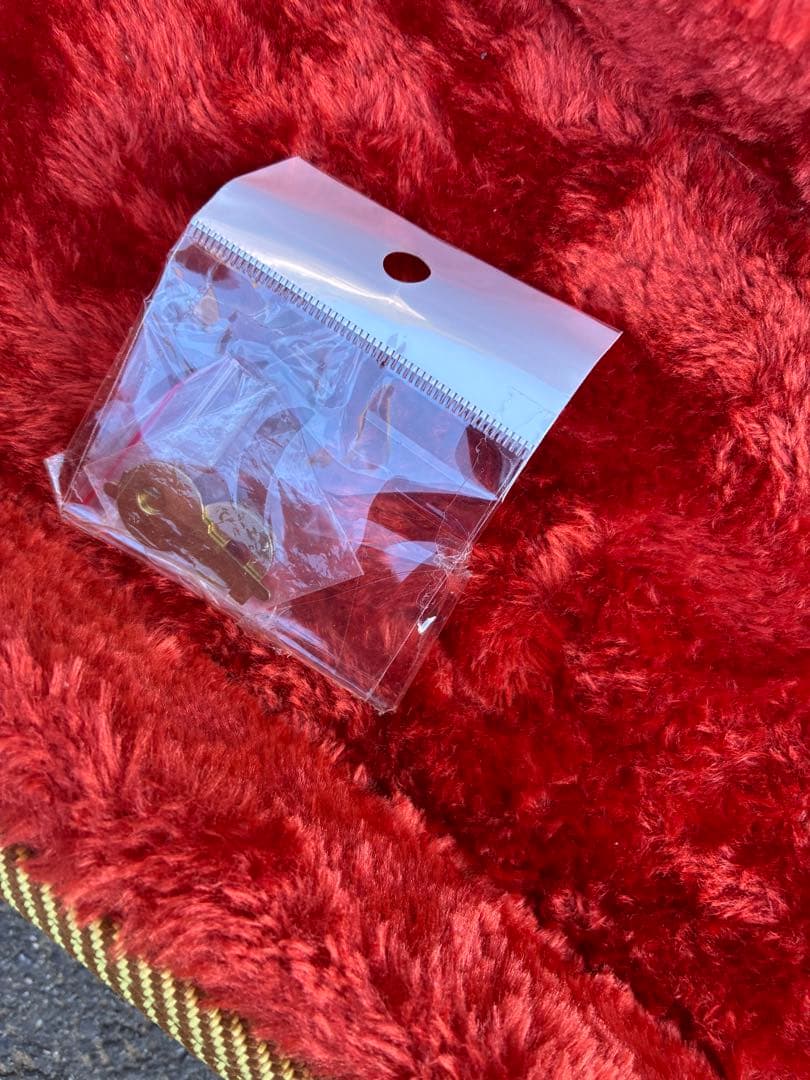 FENDER ベース ハードケース