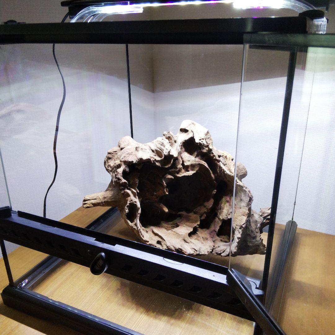 フトアゴヒゲトカゲ飼育　爬虫類飼育ケージ