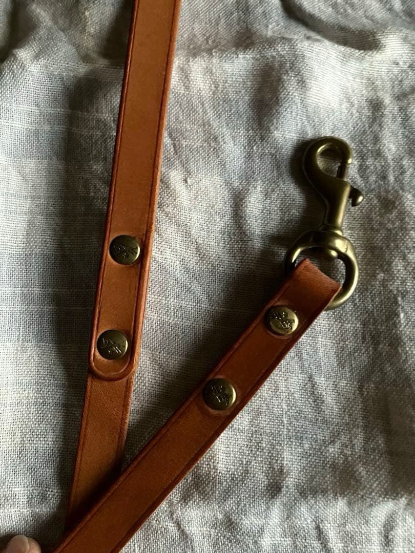 うさぎ　IL BISONTE レザー首輪　リードK0259..P