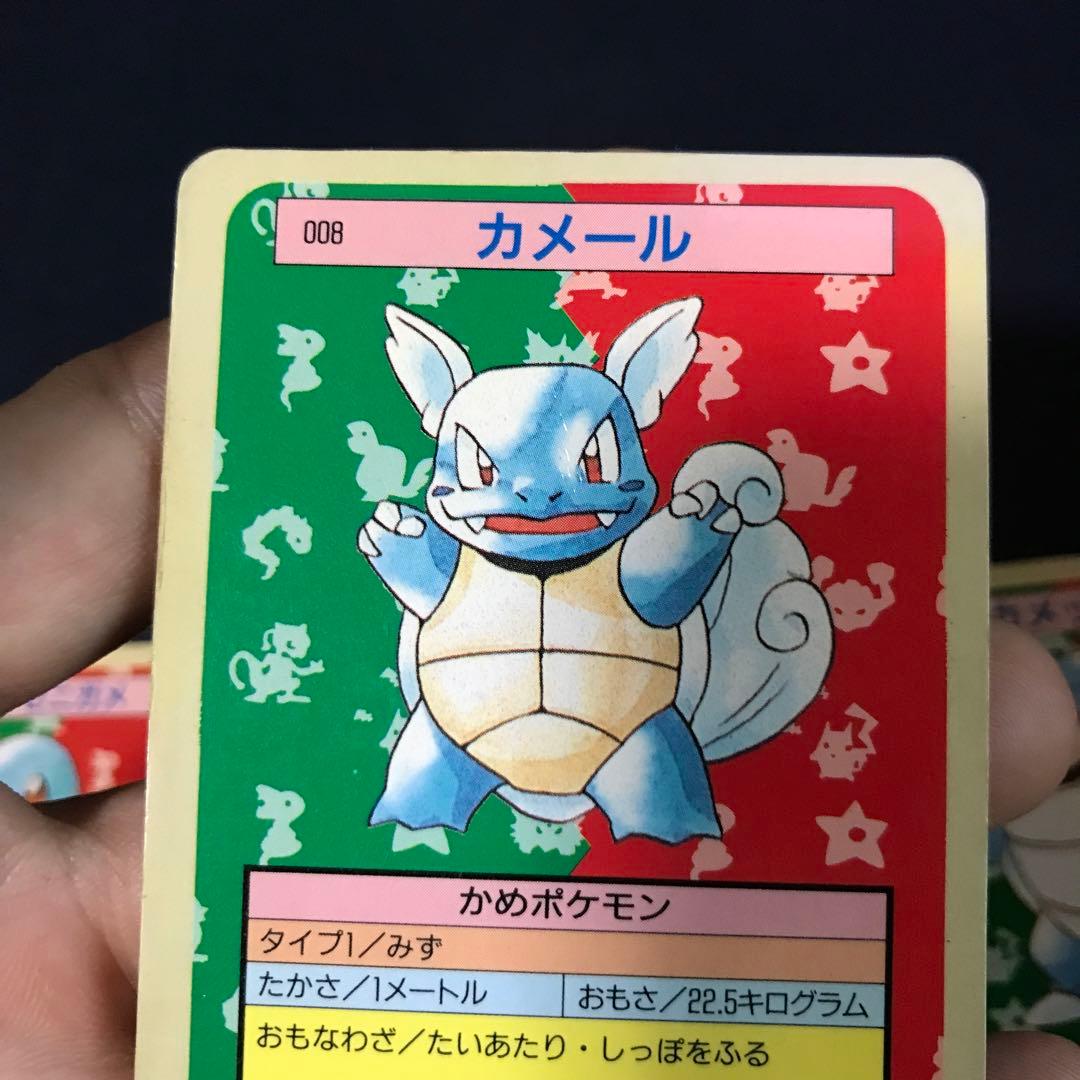 トップサン　カメックス　カメール　ゼニガメ　セット