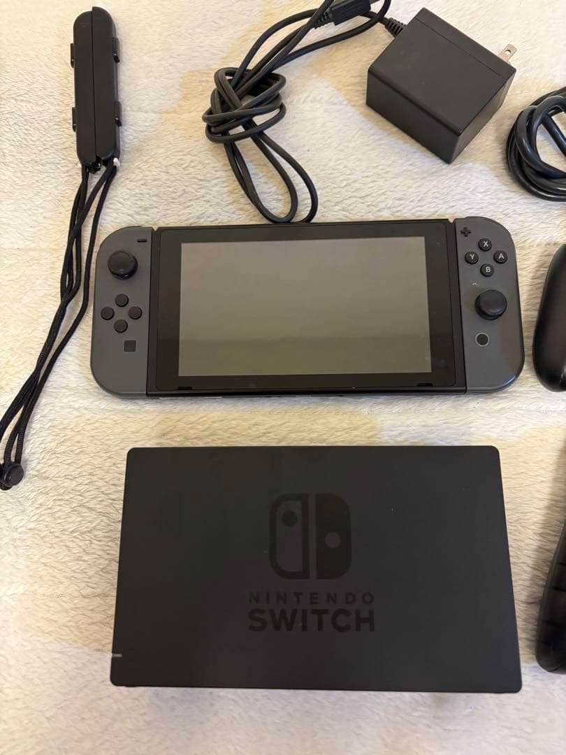 Nintendo Switch 本体一式 グレー ホリパッド付 動作確認済