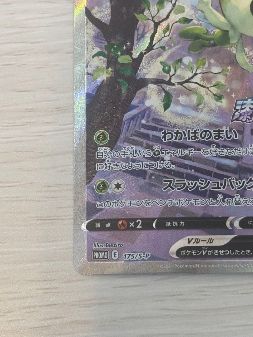 セレビィv SA