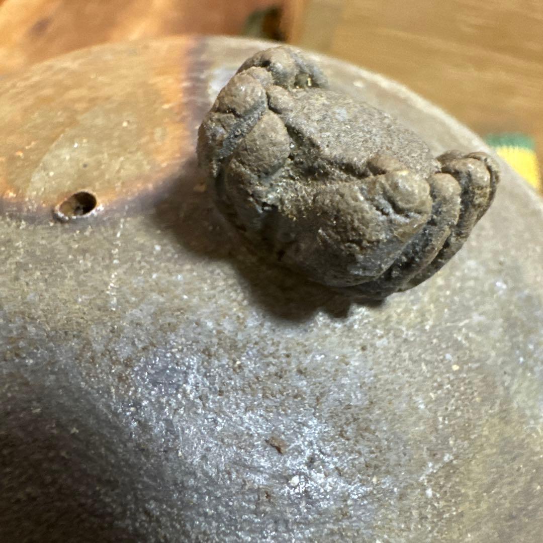 備前焼 急須 藤原陶臣 共箱 栞付き 茶道具