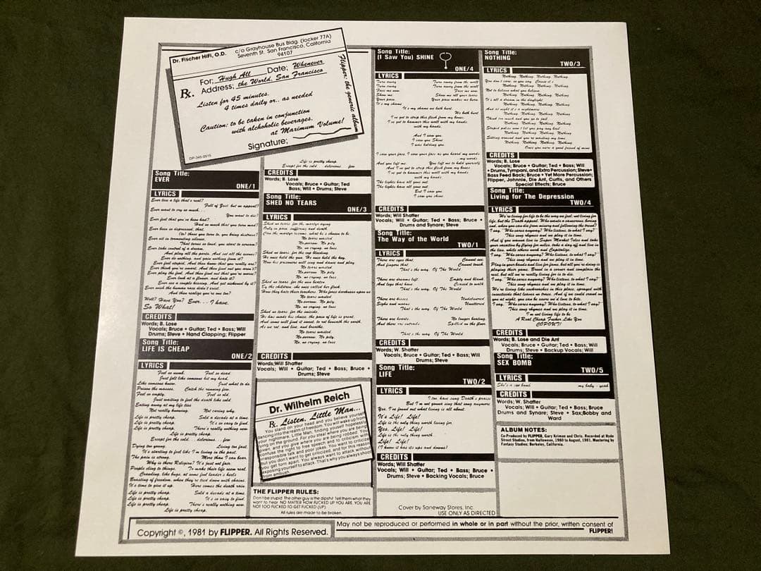 FLIPPER / ALBUM 超名盤LP punk パンク天国