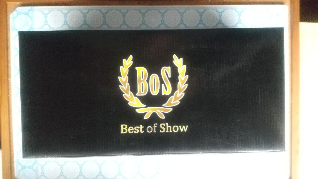 1/18 BoS-モデル キャデラック フリートウッド ブローアム 1982