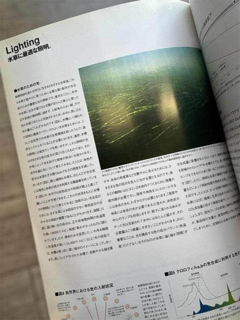 1999年 The Book Of ADA アクアリウム・水草・水槽書籍