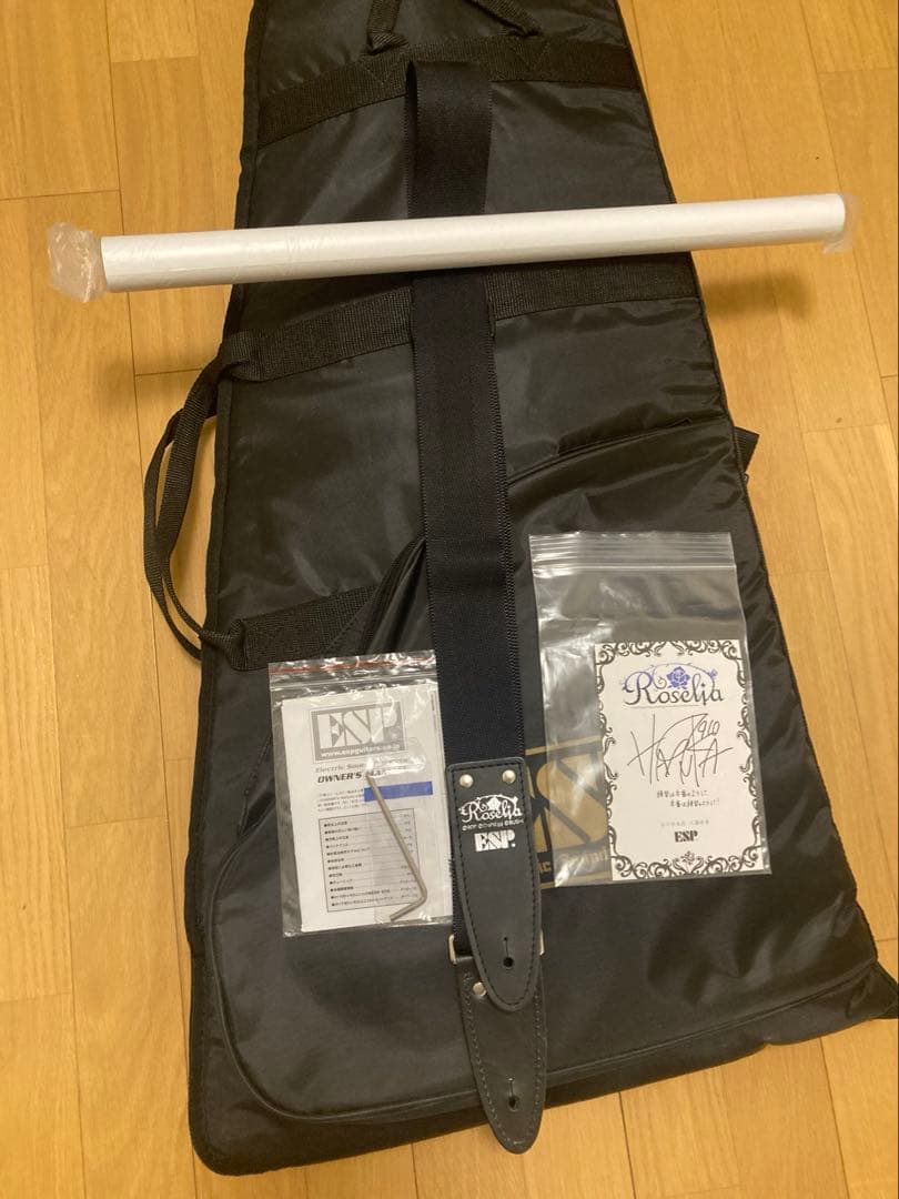 ESP × BanG Dream! バンドリ！　M-II Sayo 氷川紗夜