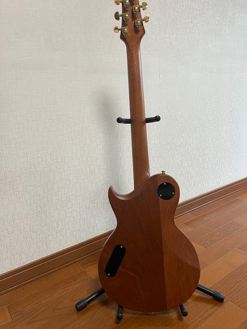 エレキギター Aria Pro 2 PE-MAHO ll