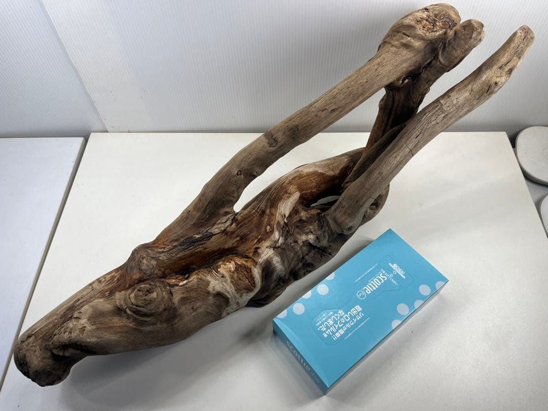 A16大型流木 アク抜き済み流木 爬虫類シェルター 登り木 インテリア 生け花