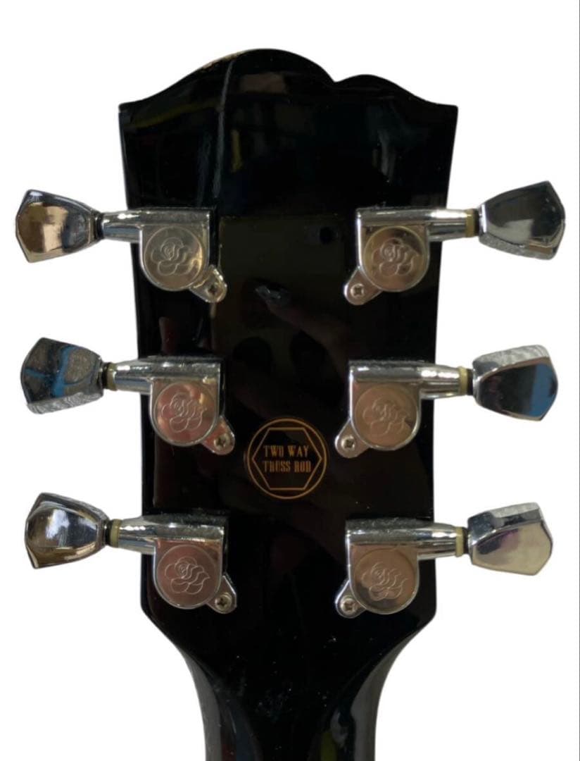 GYPSY ROSE ジプシーローズ レスポールタイプ　ソフトケース付き