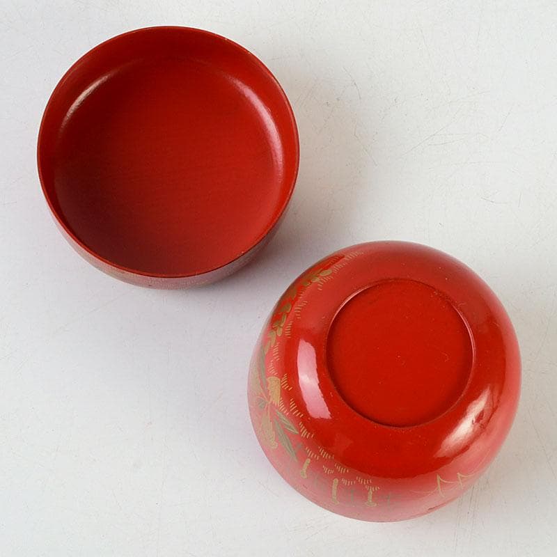 茶道具　佐々木麗峰作　鵬雲斎好写　一閑塗　春草蒔絵　棗　共箱　V　9633