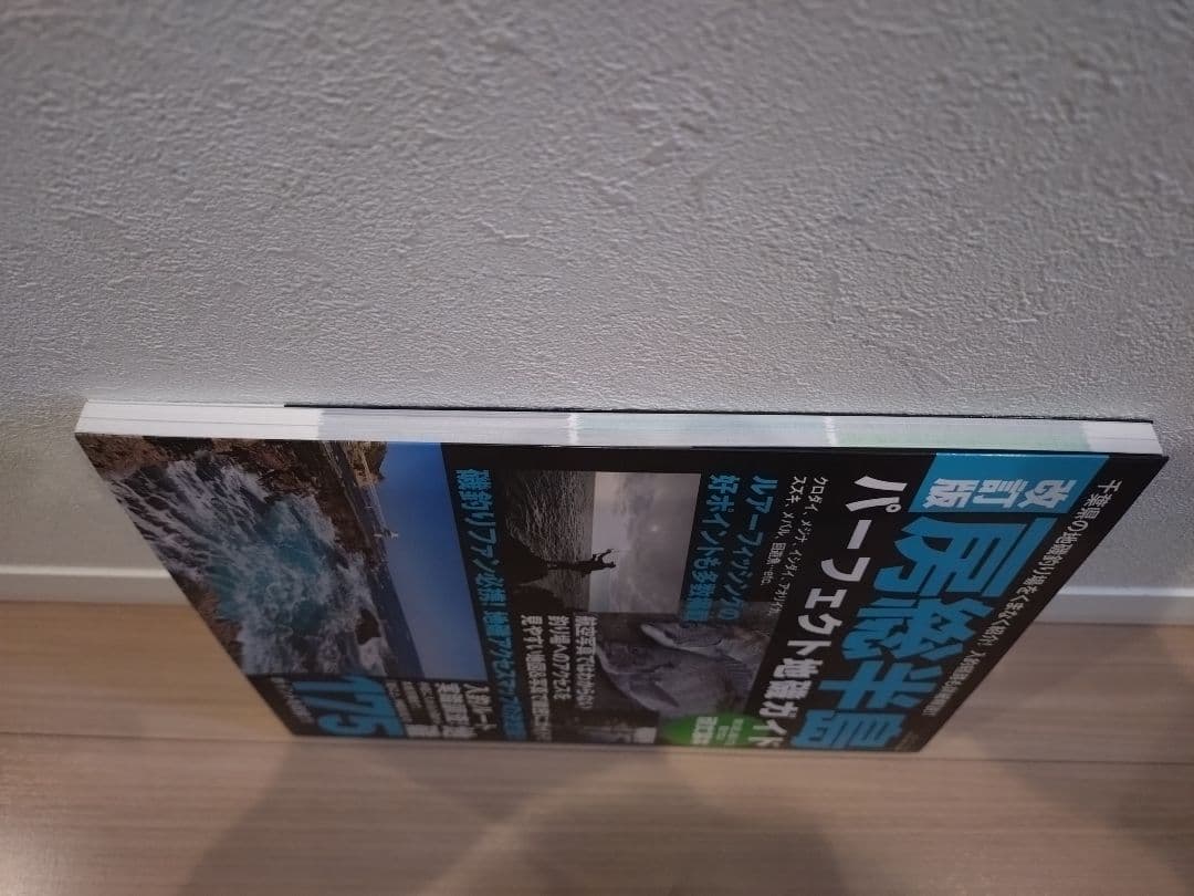 【絶版・希少】房総半島パーフェクト地磯ガイド 改訂版