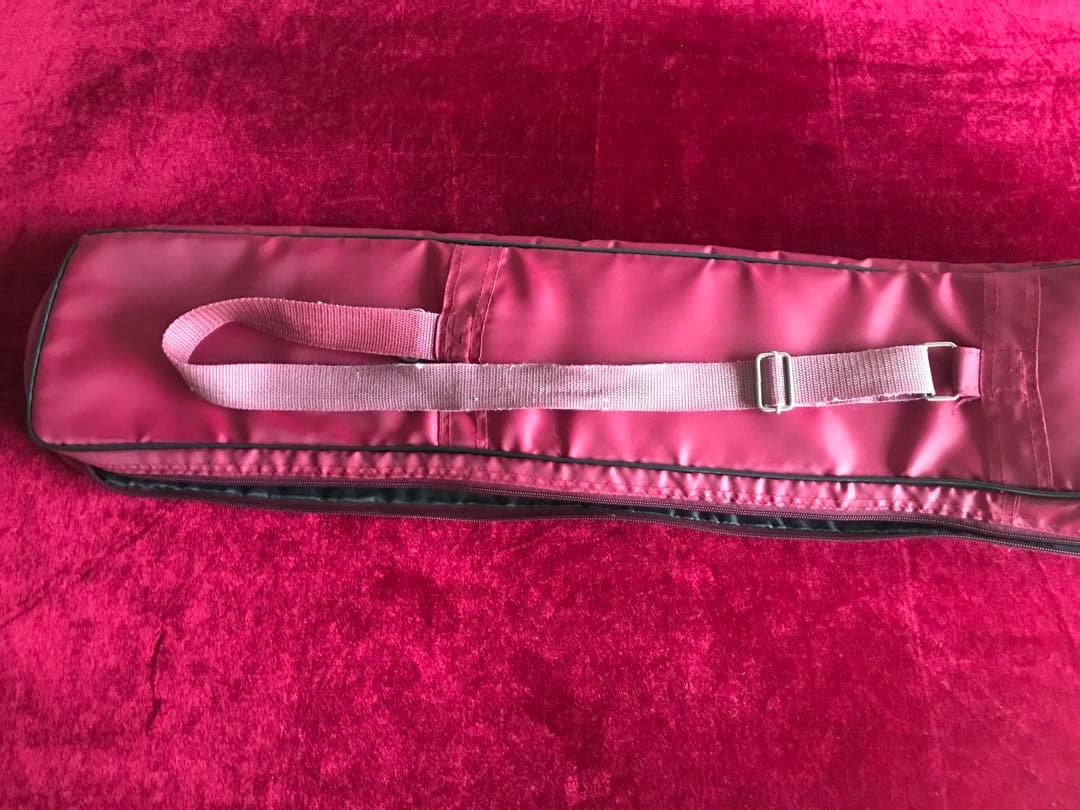 二胡★中古品★蛇本皮★音など確認済み