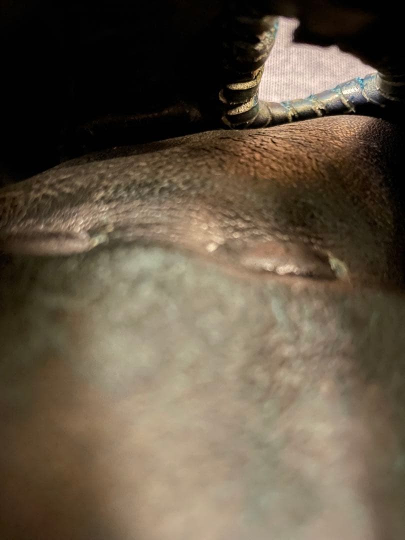 希少！　良型　野球 軟式グローブ 一般用　大人　右投げグラブ　内野　ローリングス