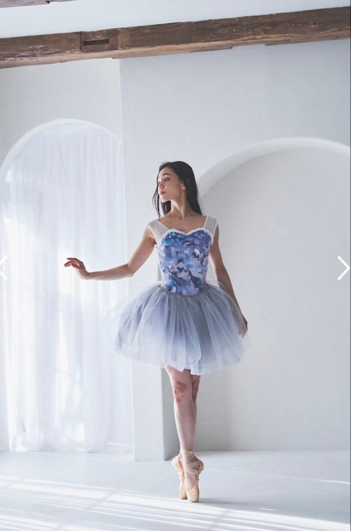 stina レオタード　typeQ Ssize