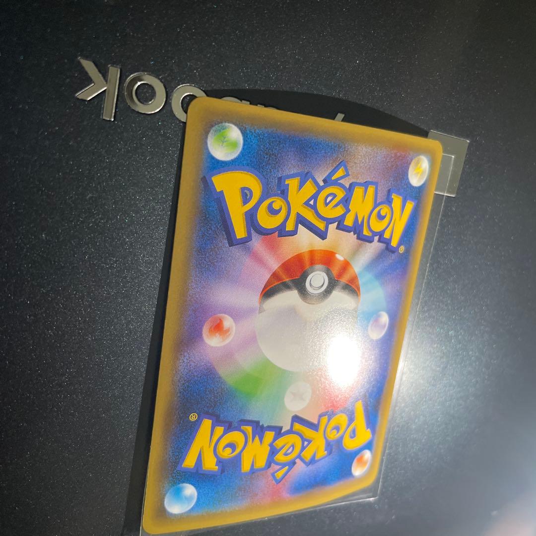 ポンチョを着たピカチュウ　黒　レックウザ