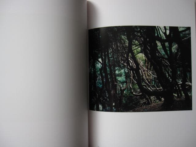 意識の流れ Stream of consciousness　鈴木理策　チラシ付き