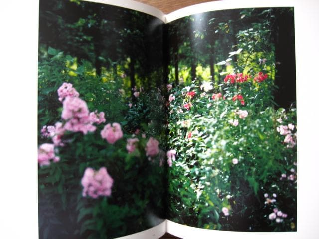 意識の流れ Stream of consciousness　鈴木理策　チラシ付き