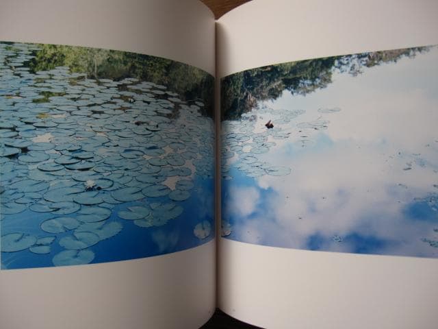 意識の流れ Stream of consciousness　鈴木理策　チラシ付き