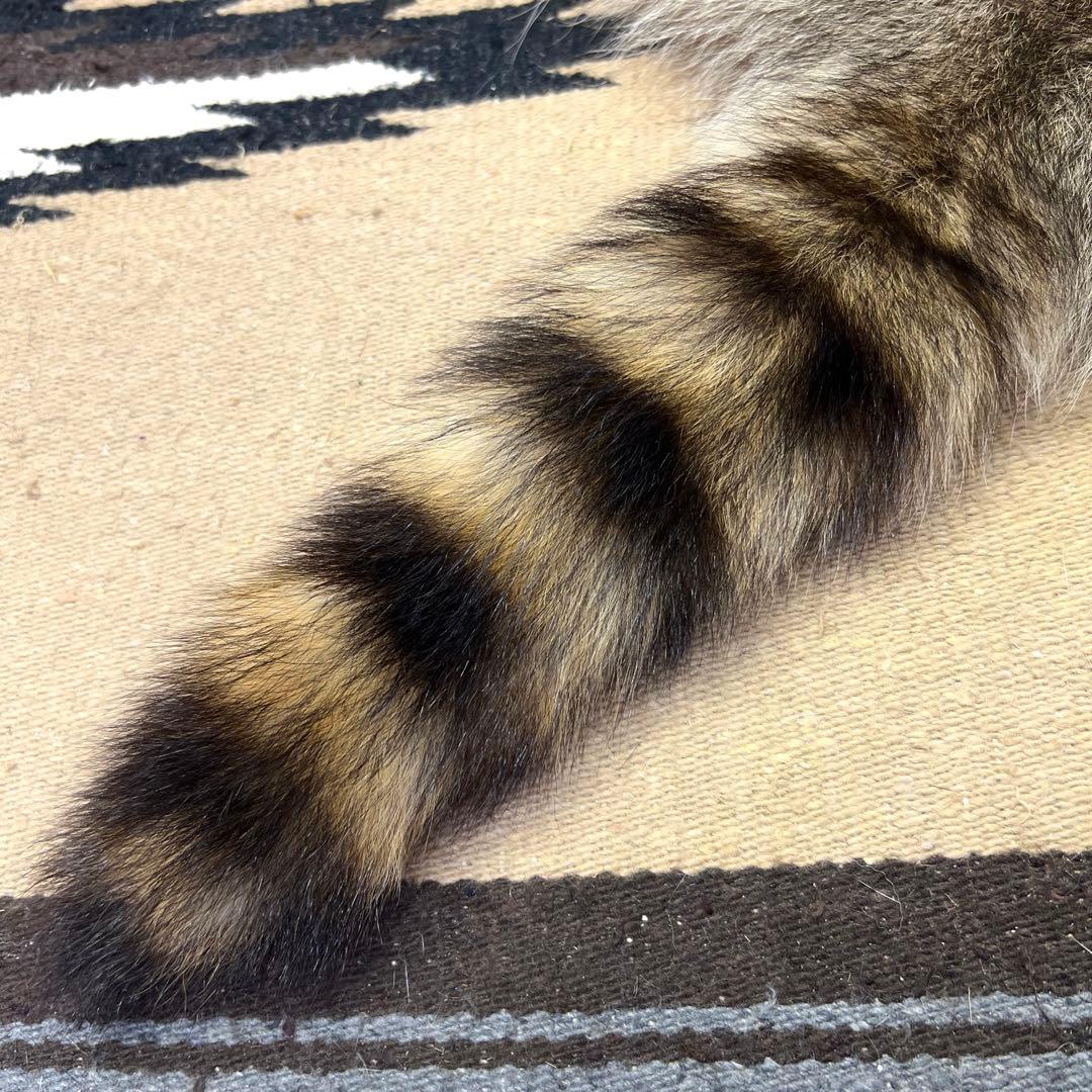 顔付　特大ラクーン　アライグマ　尻あて腰当　登山　キャンプ　スキー山伏　毛皮敷物