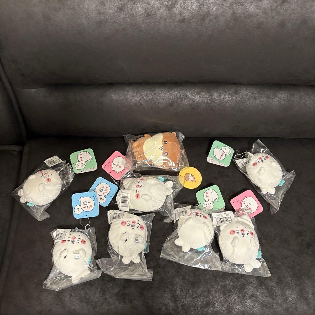 ほぼ未使用　140サイズぱんぱん　ナガノ　水族館　あざらし　カワウソ　D賞　シオ