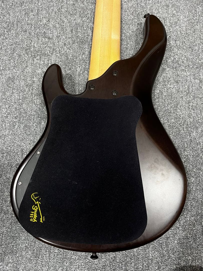 STR LS549 ５弦ベース