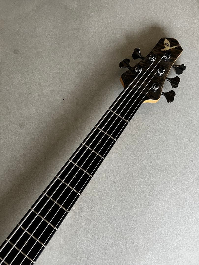 STR LS549 ５弦ベース
