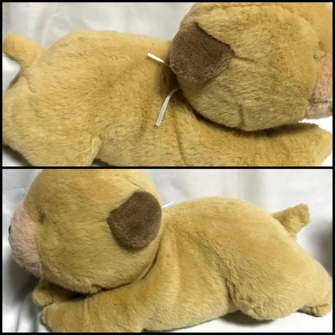 ころわん　ぬいぐるみ　絵本