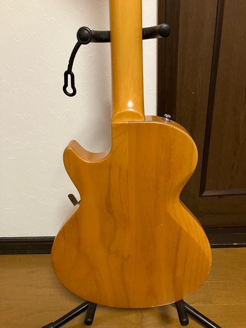 Edwards マローダータイプ　改造