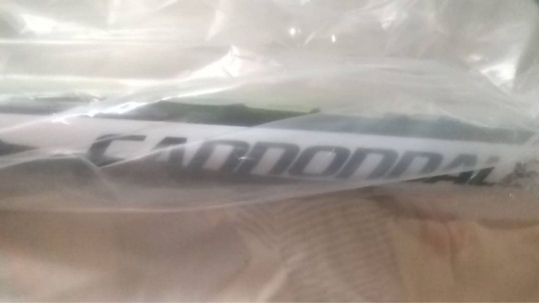 cannondale/SL2 アルミニウム軽量フレーム