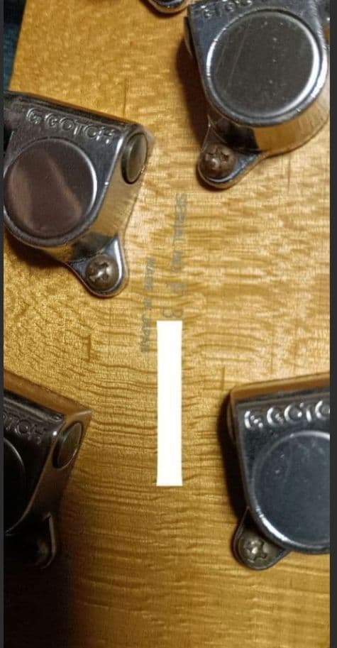 【Starfield】セミアコ