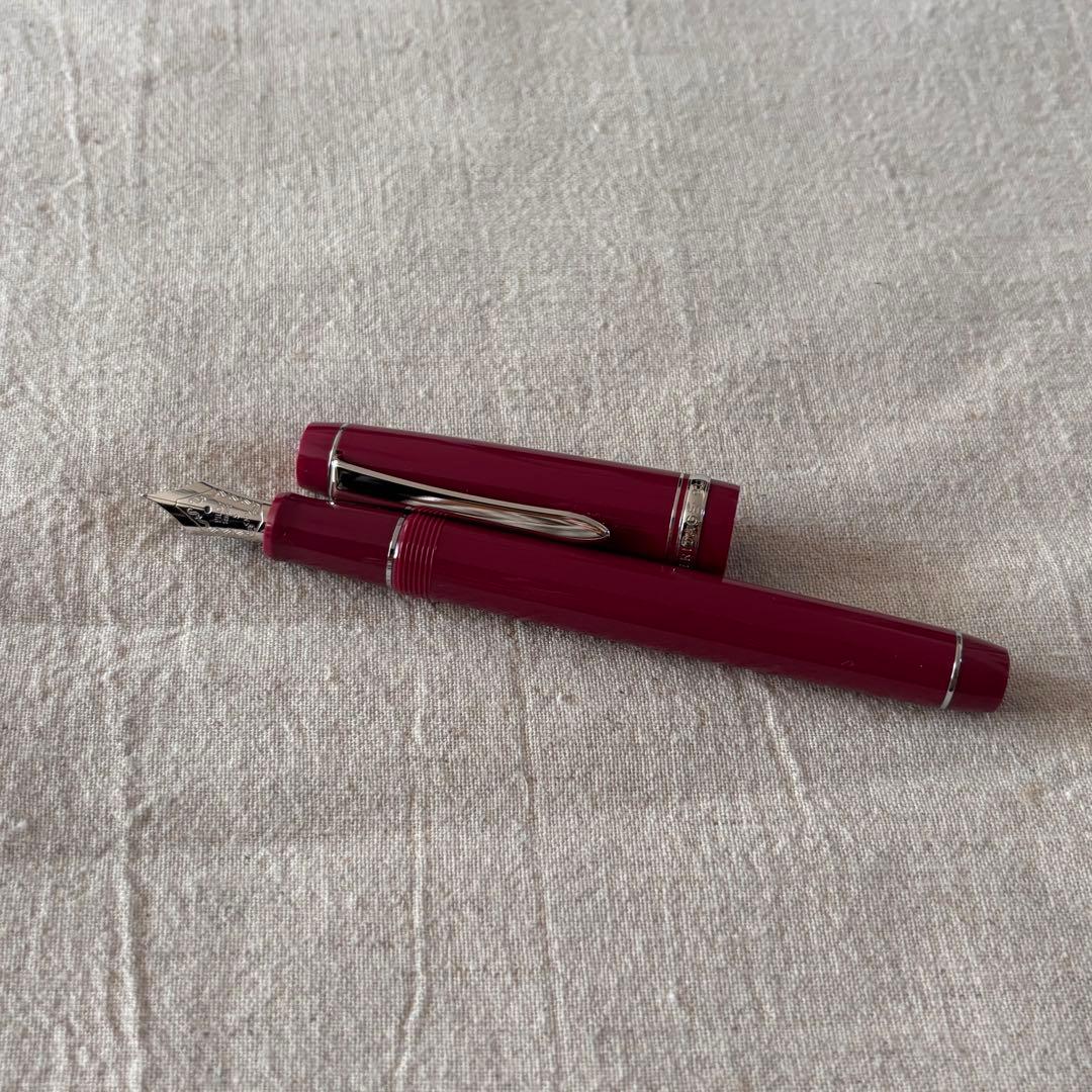 PILOTパイロットカスタム　ヘリテイジ91万年筆 山葡萄（yama-budo）