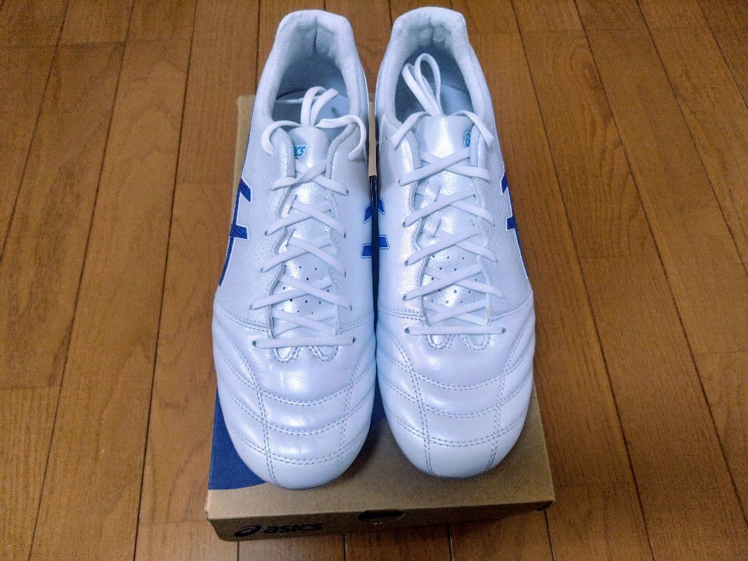 【新品】アシックス☆DSライト プロ☆DS LIGHT PRO　x-fly