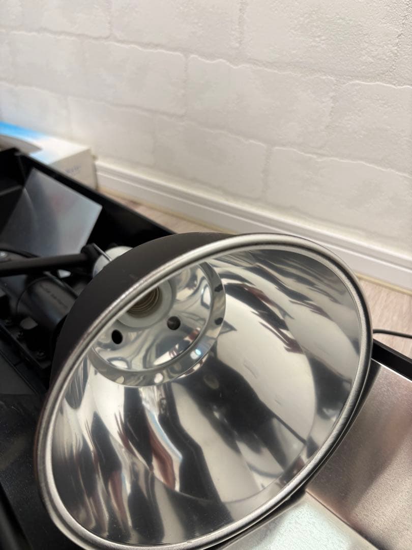 爬虫類飼育セットリクガメフトアゴガラスケージ60.5cm45.5cm32.5cm