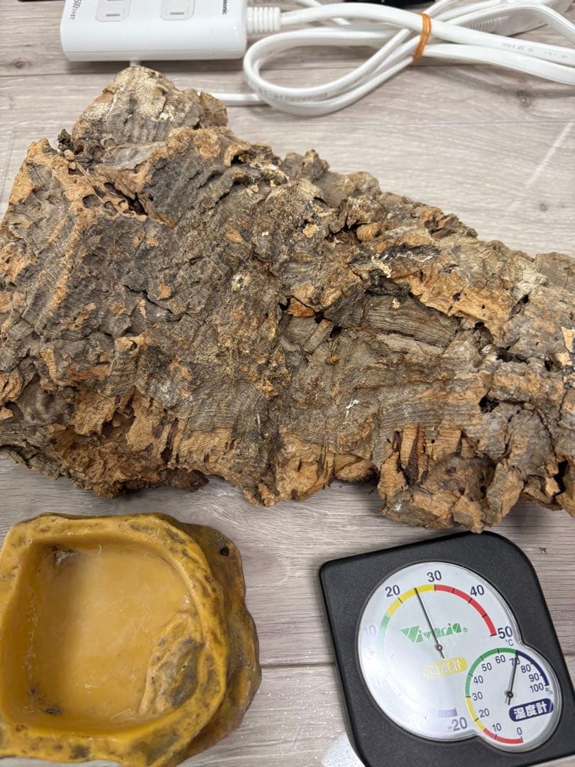 爬虫類飼育セットリクガメフトアゴガラスケージ60.5cm45.5cm32.5cm