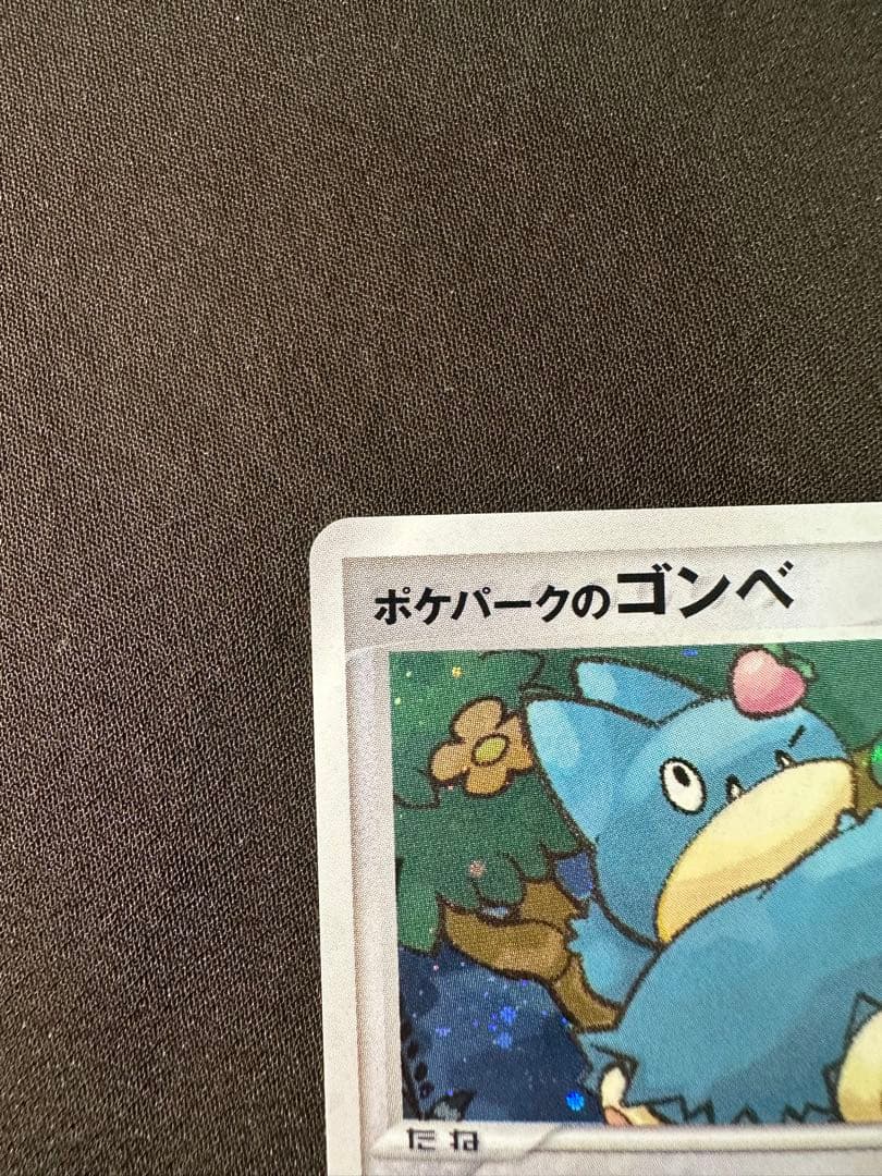 良品　ポケパークのゴンベ ポケパークプレミアムファイル 008/009